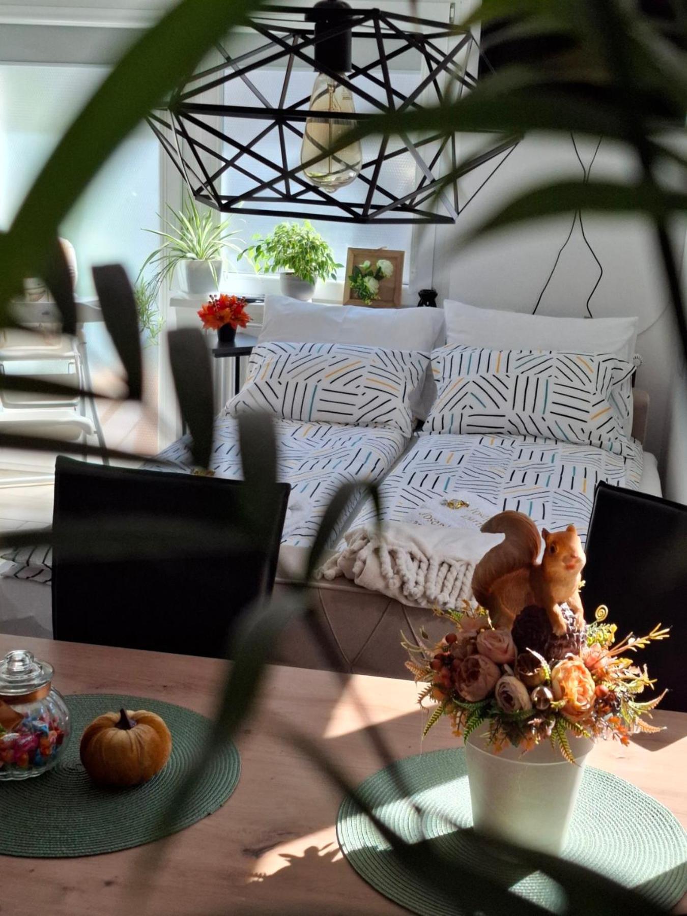 Josephine Apartment Subotica Zewnętrze zdjęcie